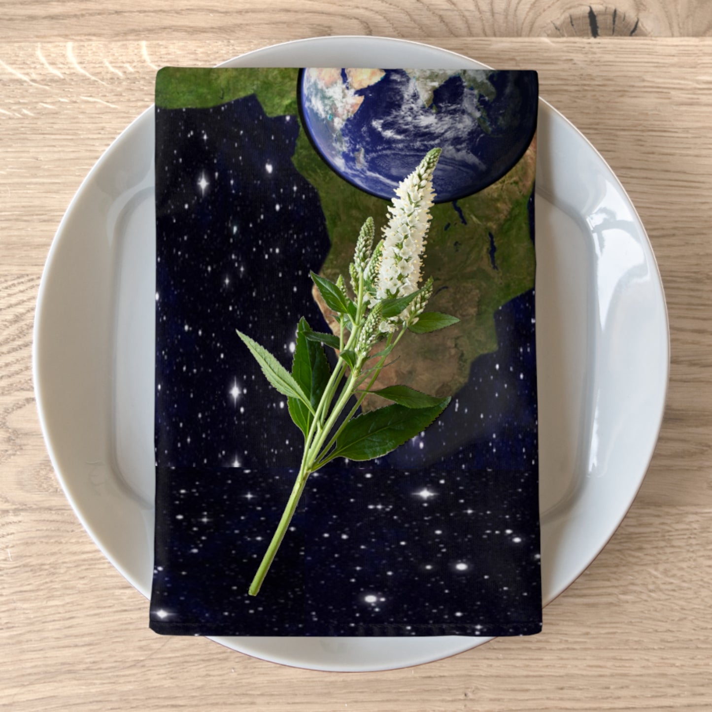 Earth In Africa Napkins