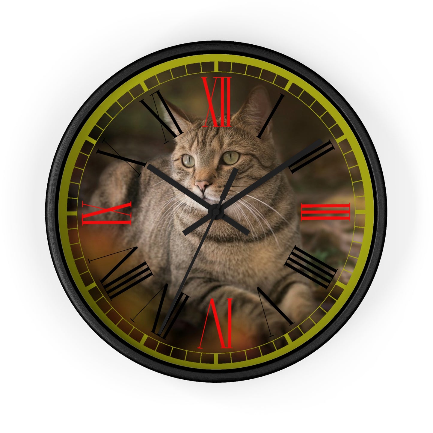 Cat  Wall clock