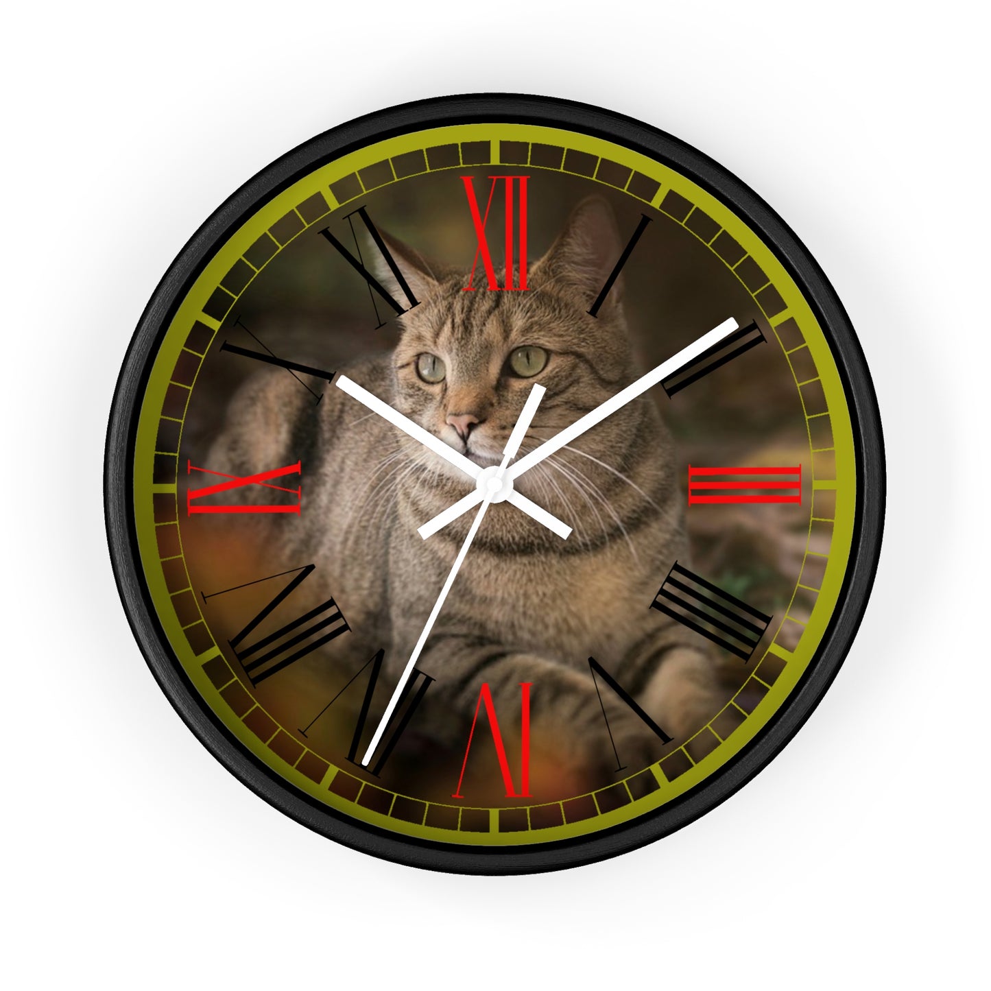 Cat  Wall clock