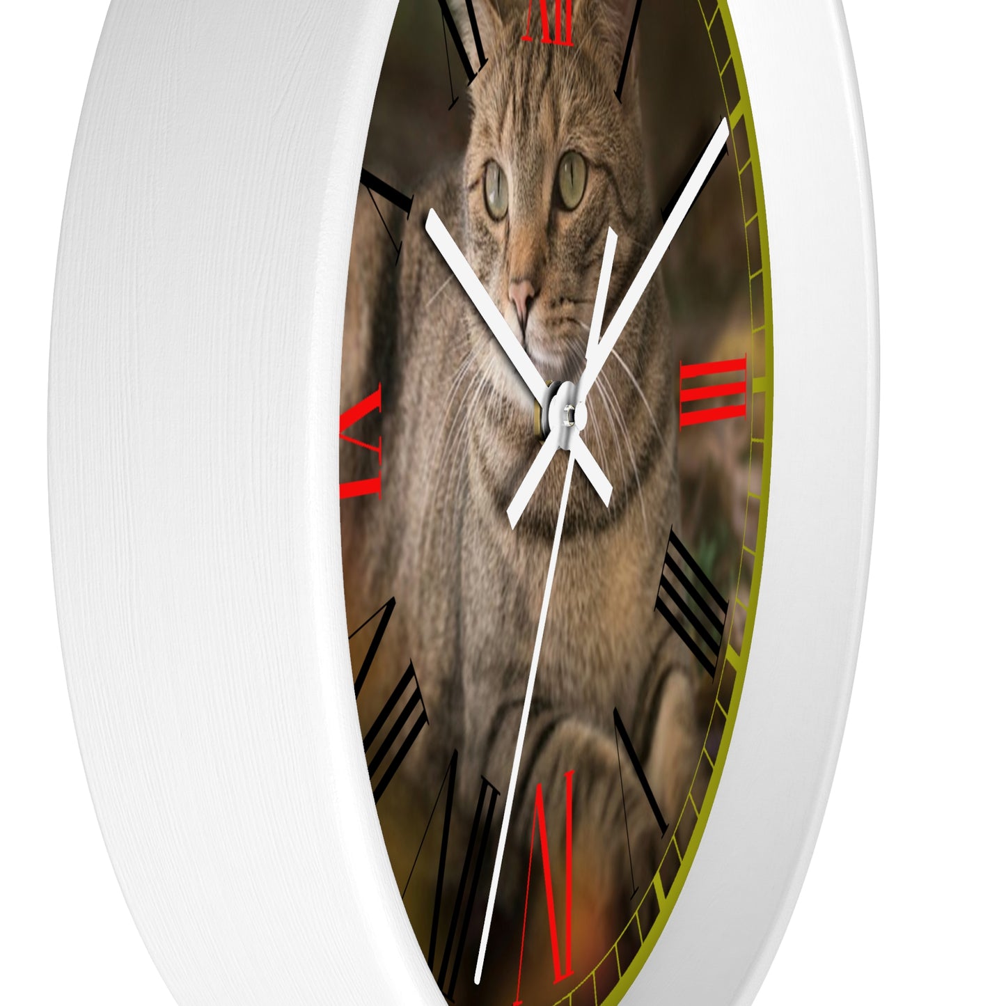 Cat  Wall clock