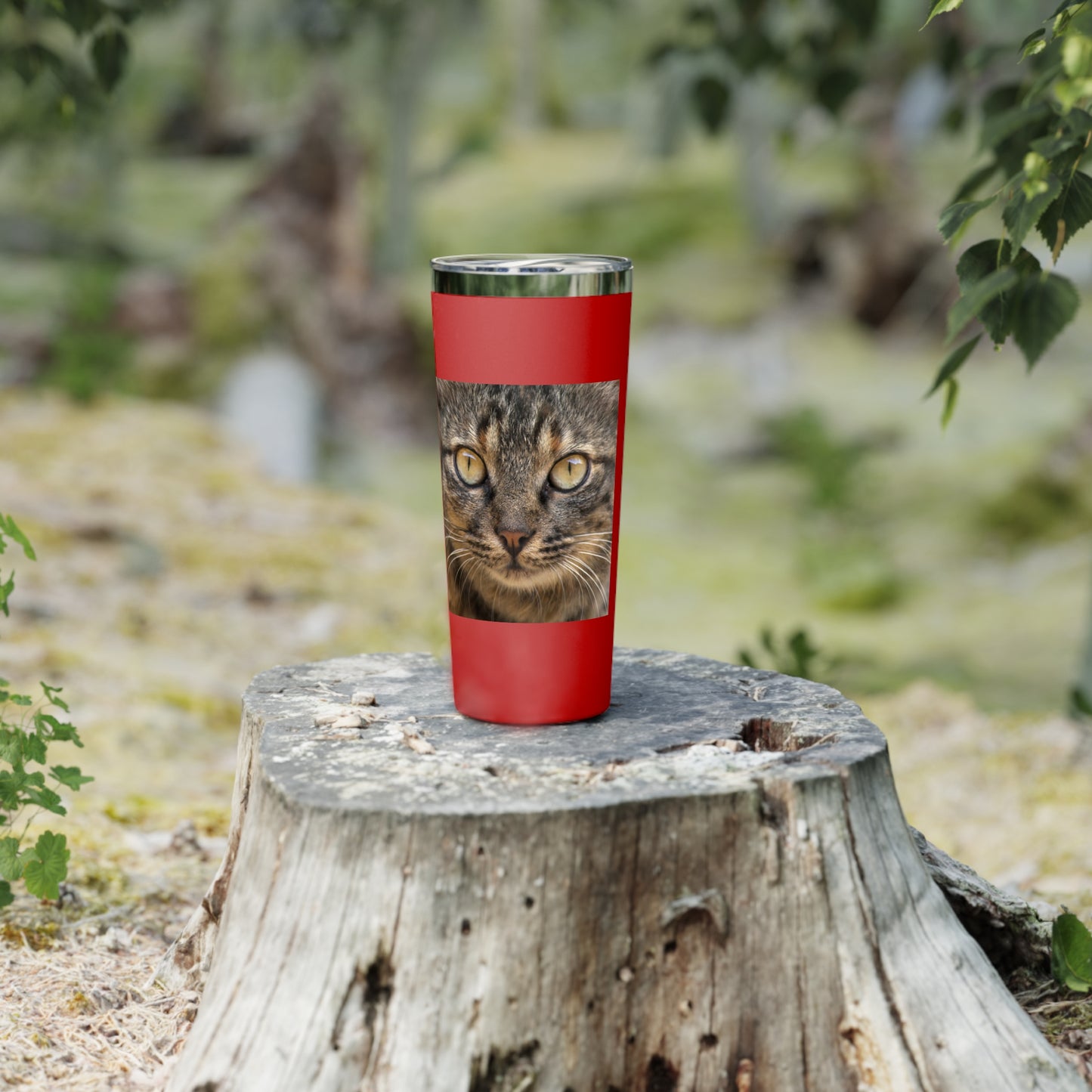 Cat Face  Copper Vacuum Insulated Tumbler, 22oz