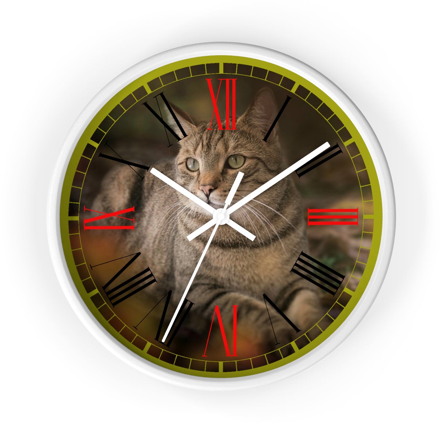 Cat  Wall clock