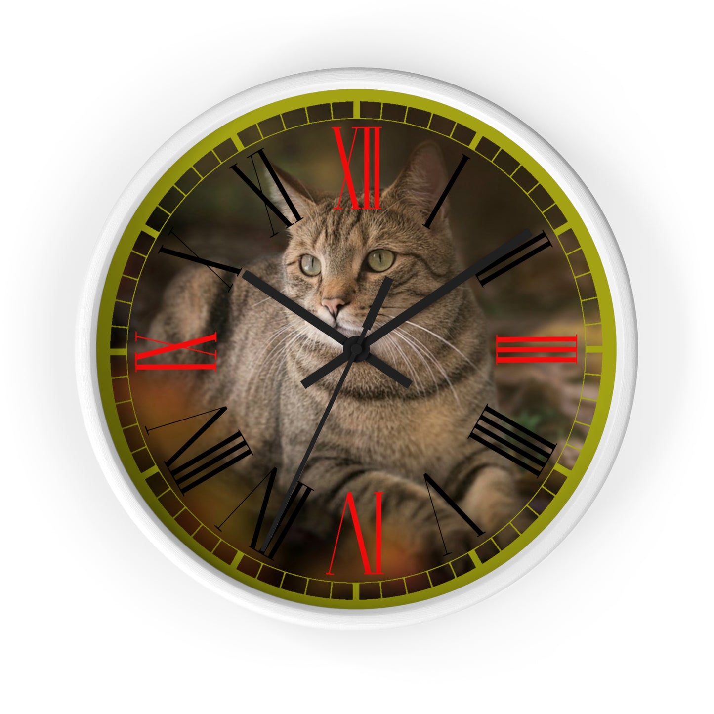 Cat  Wall clock