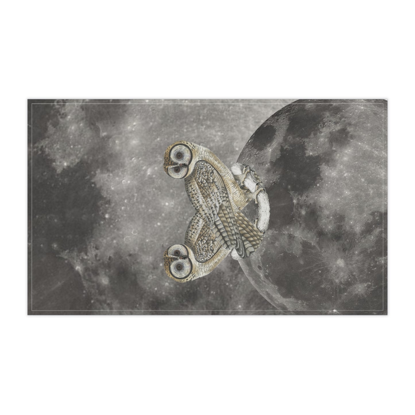 Owl & Moon Kitchen Towel