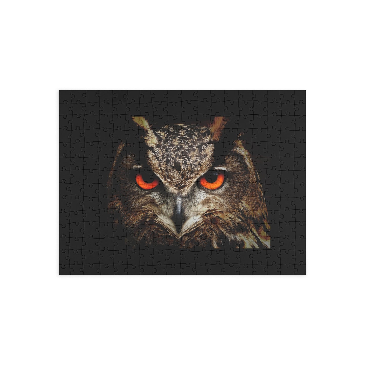 Owl Puzzle (96, 252, 500, 1000-Piece)